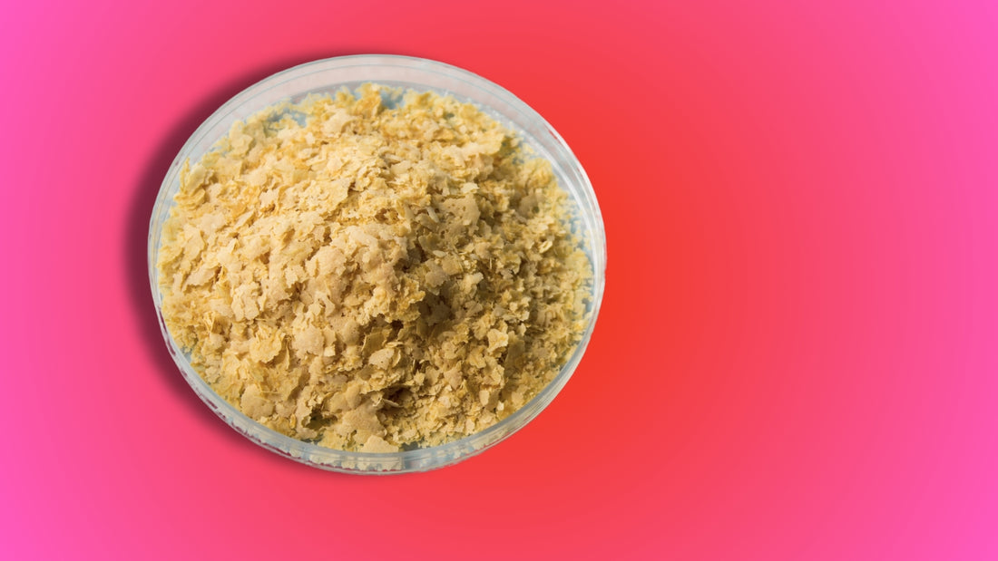 What Does Nutritional Yeast Come From? Organic vs. Regular Nooch